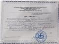 Сертификат участника городских мероприятий в рамках методического сопровождения ФГОС дошкольного образования  в семинаре-практикуме "Использование ТРИЗ технологий в образовательной деятельности ДОО"
